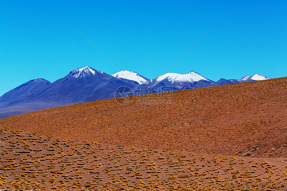 玻利维亚的高山雪山图片