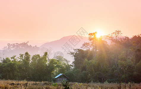 泰国北部的乡村景观图片