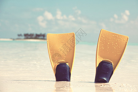马尔代夫岛海边沙滩上的鳍状肢图片