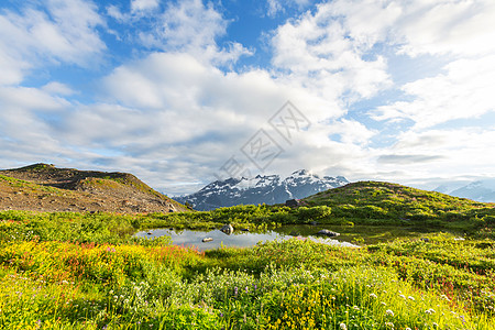 晴天的山地草地自然的夏季景观阿拉斯加的山脉图片