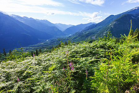 夏季加大落基山脉风景如画的山景图片