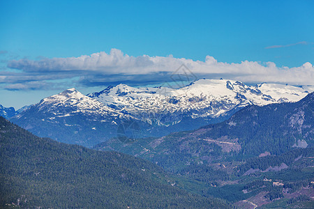 夏季加大落基山脉风景如画的山景图片