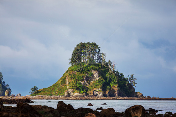 风景优美,严谨的太平洋海岸奥林匹克公园,华盛顿,美国海洋中的岩石海滩上的大原木图片