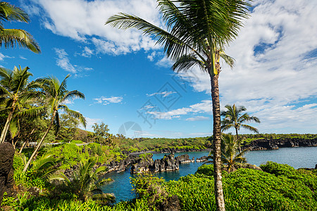 夏威夷毛伊岛上美丽的热带景观图片