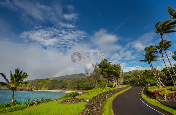 夏威夷毛伊岛上美丽的热带景观图片