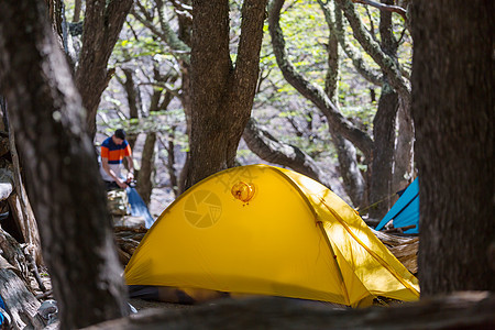 悬挂绿色森林树木的现代旅游帐篷图片