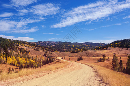 阳光明媚的早晨,乡间道路上五彩缤纷的秋天景象图片