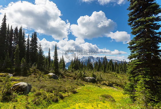 夏季加大落基山脉风景如画的山景图片