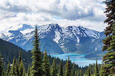 夏季加大落基山脉风景如画的山景图片