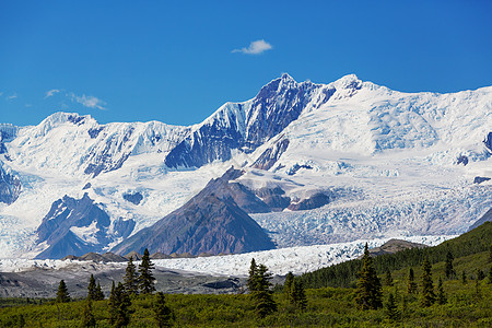 夏天阿拉斯加风景如画的山脉积雪覆盖的地块,冰川岩石峰图片