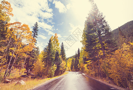 阳光明媚的早晨,乡间道路上五彩缤纷的秋天景象图片