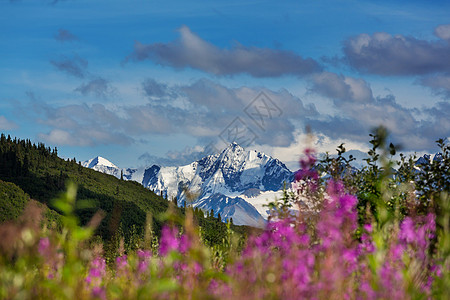 夏天阿拉斯加风景如画的山脉积雪覆盖的地块,冰川岩石峰图片