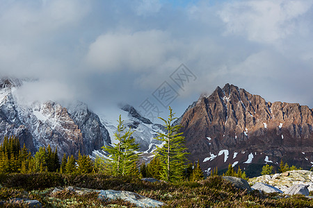 夏季加大落基山脉风景如画的山景图片