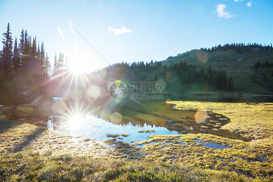 宁静的湖泊夏季的山区美丽的自然景观图片