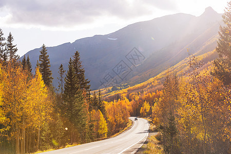 森林里乡间道路上五彩缤纷的秋天景象图片