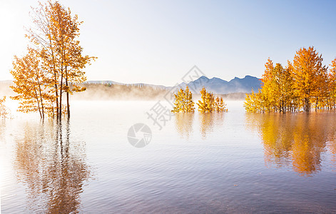 秋天插画秋天的美丽湖泊背景