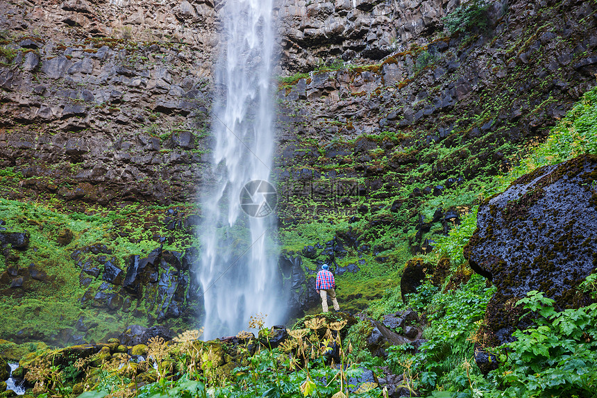 美丽的瀑布绿色森林,俄勒冈州,美国图片