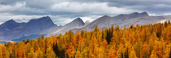 加拿大山里美丽的秋天风景图片