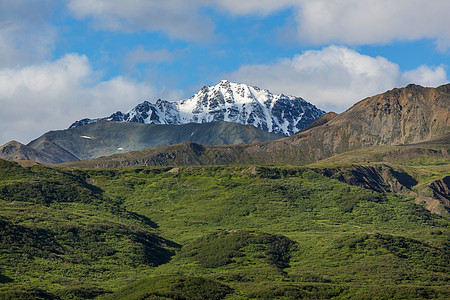 夏天阿拉斯加风景如画的山脉积雪覆盖的地块,冰川岩石峰图片