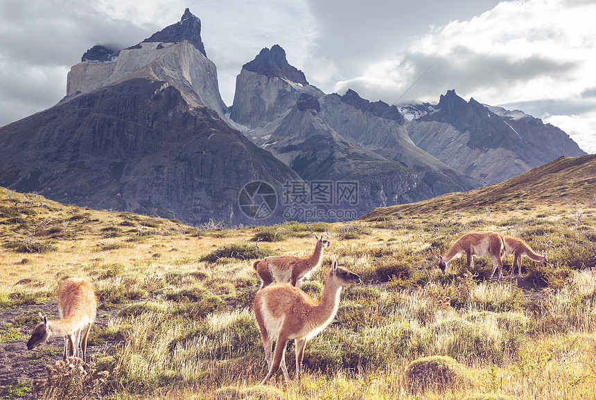 智利托雷斯德尔帕西公园美丽的山景世界著名的徒步旅行地区图片