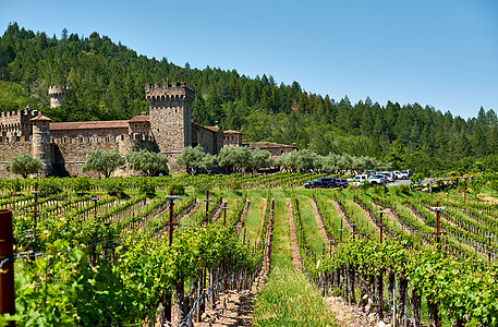 葡萄园与城堡加利福尼亚,美国图片