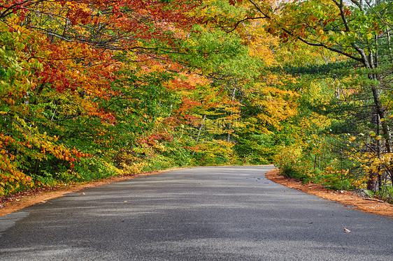 秋天的场景与道路白山森林,新罕布什尔州,美国落新英格兰图片