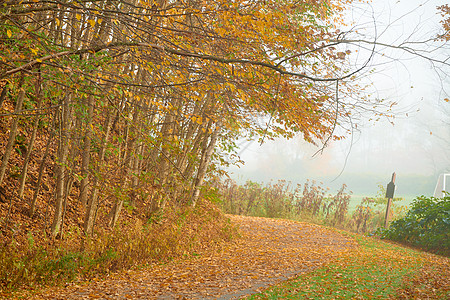 美国佛蒙特州秋季雾日的斯托娱乐活动道路图片
