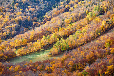 艺术家的虚张声势秋天的景色法国公园的秋天颜色美国新罕布什尔州白山森林图片