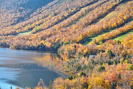 艺术家的虚张声势中看回声湖法国公园的秋天颜色美国新罕布什尔州白山森林图片