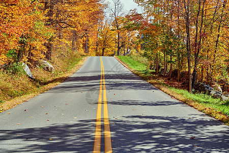 美国佛蒙特州秋季公路图片