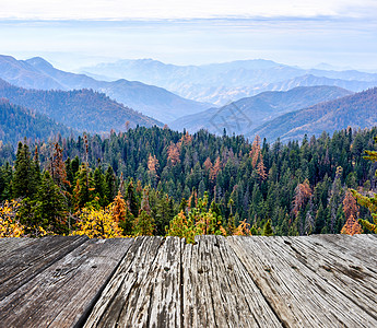 红木森林红杉公园秋季山体景观加州,美国背景