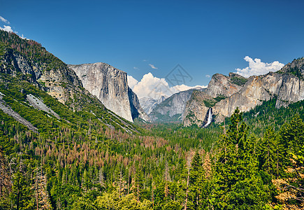 隧道的角度看约塞米蒂公园山谷夏季景观加州,美国图片