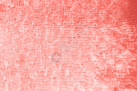 趋势抽象背景与水瓷砖的颜色,2019活珊瑚抽象的活珊瑚颜色背景图片