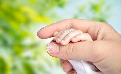 家庭,母亲,养育,人儿童保育的密切母亲新生儿的手绿色的自然背景母亲新生婴儿的手图片