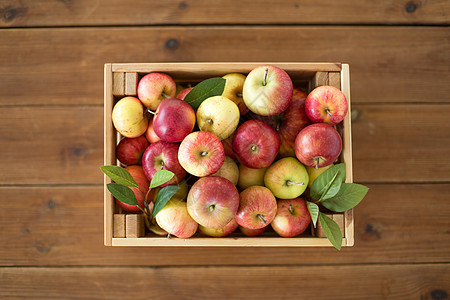 水果,食物收获的成熟的苹果木箱桌子上桌子上木箱里成熟的苹果图片