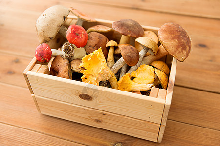 自然环境收获同食用菌的木箱同食用蘑菇的木箱图片
