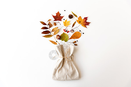 自然季节白色背景下同干燥落叶栗子橡子浆果亚麻袋的成秋叶,栗子,橡子,浆果袋子背景图片