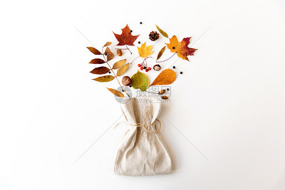 自然季节白色背景下同干燥落叶栗子橡子浆果亚麻袋的成秋叶,栗子,橡子,浆果袋子图片