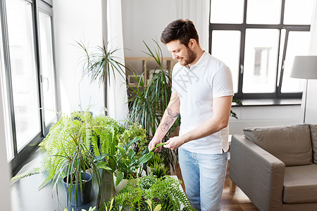 人,自然植物的人家里照顾室内植物家照顾盆栽的男人图片