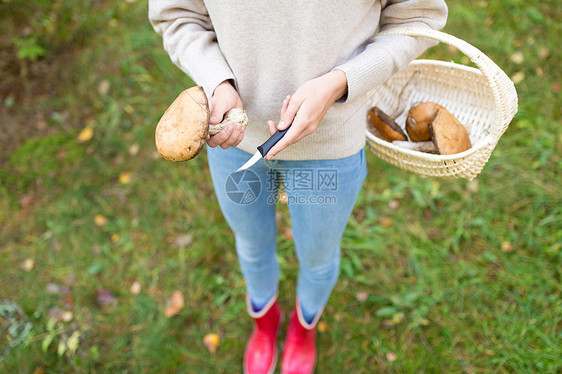 季节,自然休闲的轻的女人带着柳条篮子刀子森林里采蘑菇女人带着篮子森林里采蘑菇图片