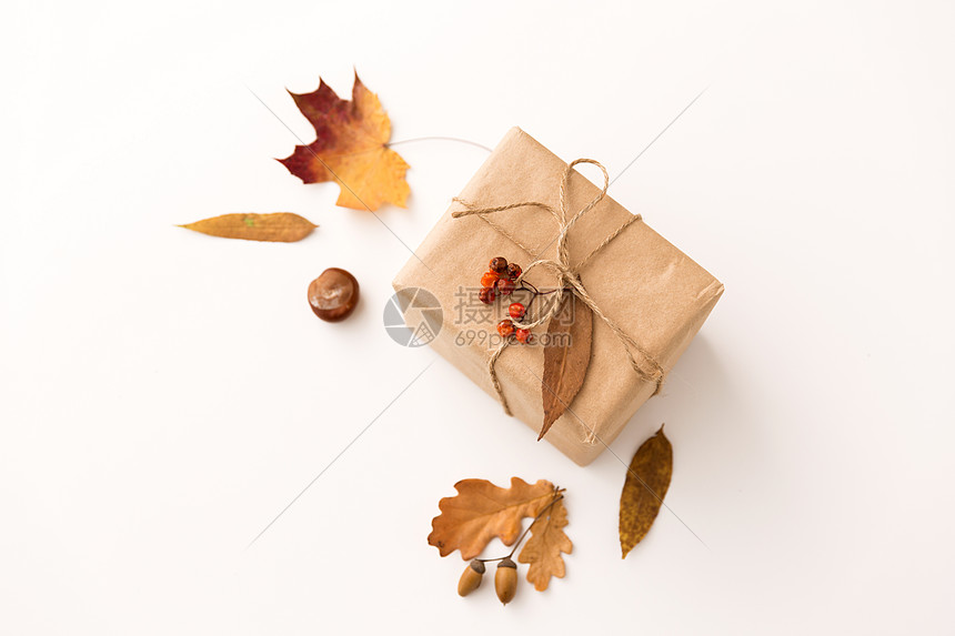自然季节礼品盒包装成邮政包装纸,秋叶,栗子,橡子玫瑰浆果白色背景礼品盒,橡子玫瑰图片