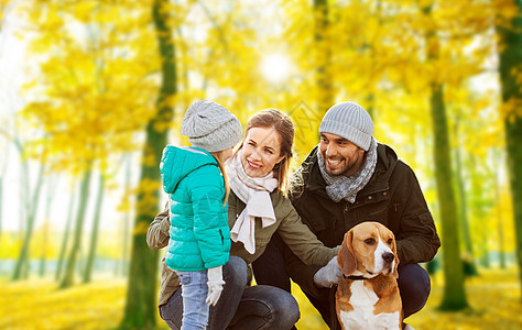 家庭,宠物人的快乐的母亲,父亲小女儿与比格犬秋天的公园背景秋天公园里比格犬快乐的家庭图片