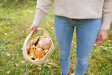 季节,自然休闲的秋天的森林里,带着篮子蘑菇的轻女人的特写森林里采蘑菇的女人的特写图片