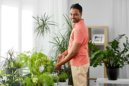人,自然植物的印度人家照顾室内植物印度男人家照顾室内植物图片