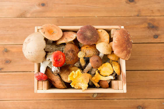 自然环境收获同食用菌的木箱同食用蘑菇的木箱图片