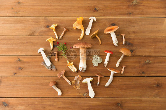 自然环境同的食用菌木制背景木制背景上同的食用蘑菇图片