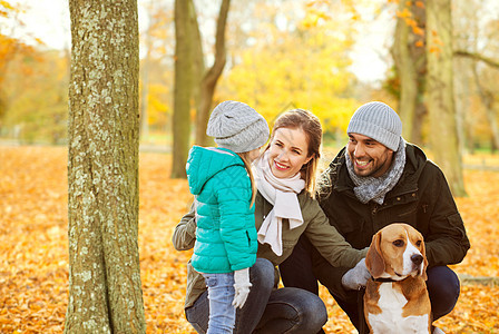 家庭,宠物人的快乐的母亲,父亲小女儿与比格犬秋天的公园背景秋天公园里比格犬快乐的家庭图片
