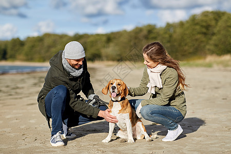 宠物,家畜人的快乐的夫妇与比格犬秋天的海滩秋天海滩上比格犬快乐的图片