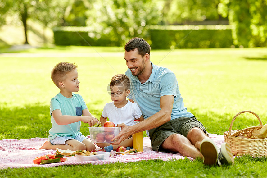 家庭休闲人的快乐的父亲两个小儿子夏季公园野餐快乐的家庭夏天的公园野餐图片