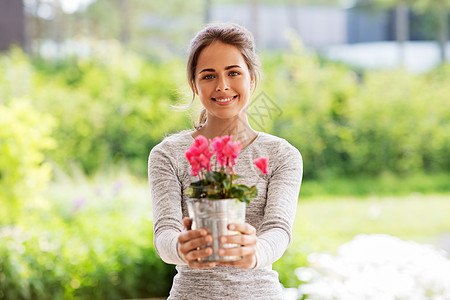农业,园艺人们的快乐的轻妇女与粉红色仙客来花盆栽夏季花园夏天花园里仙客来花的轻女人图片